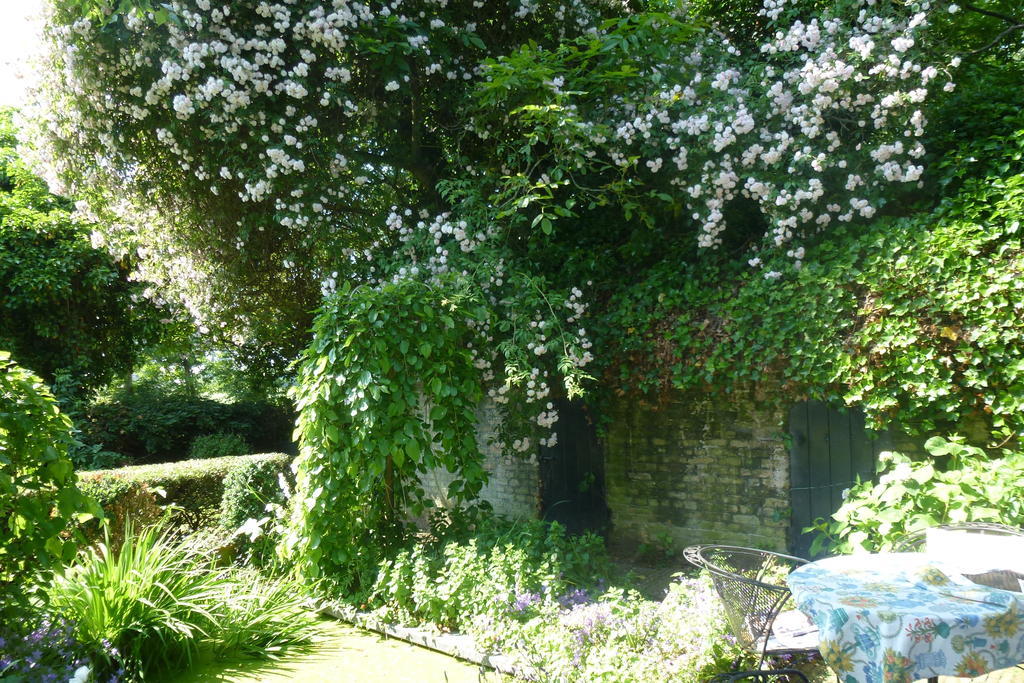 Guesthouse Veerhoeve Sluis Exterior photo